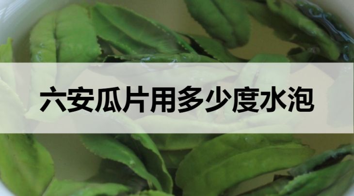 泡六安瓜片要用多少度水？