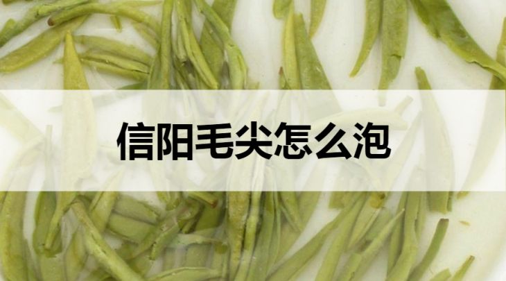 信陽(yáng)毛尖怎么泡？