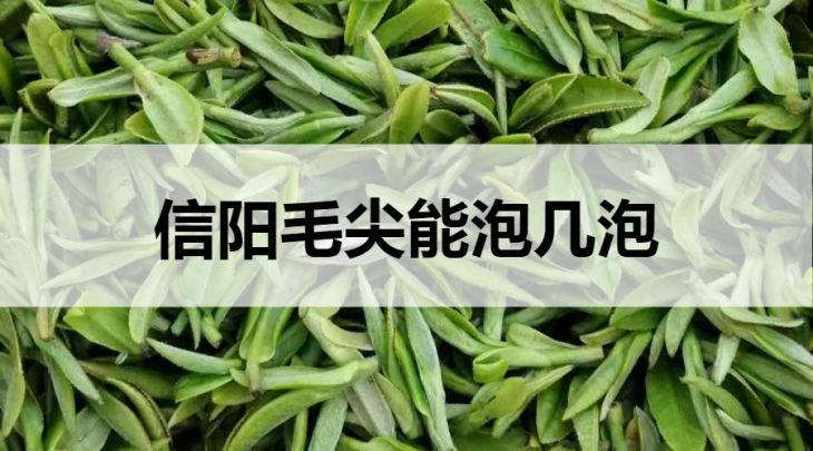 信陽(yáng)毛尖能泡幾泡？