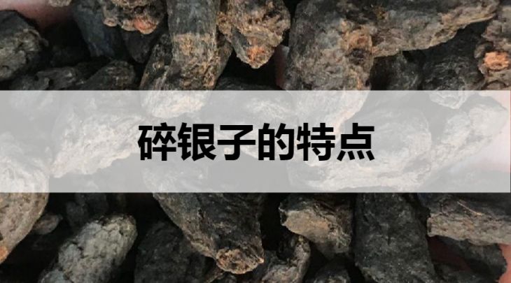 碎銀子的特點(diǎn)有哪些？