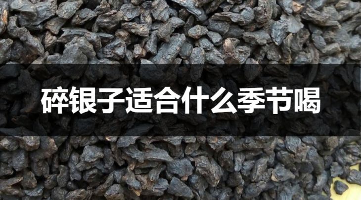 碎銀子適合什么季節(jié)喝？