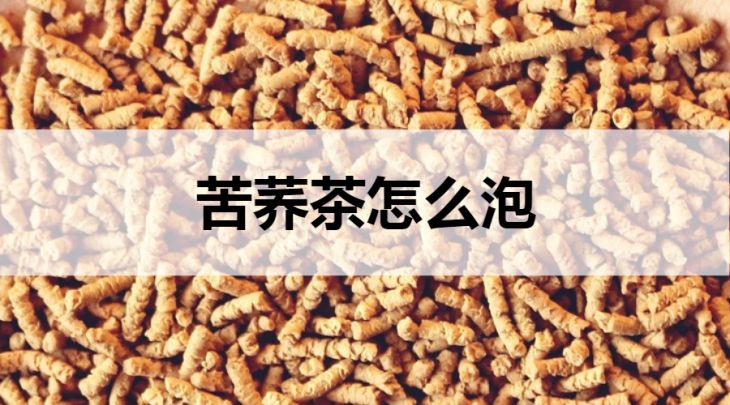 苦蕎茶怎么泡？