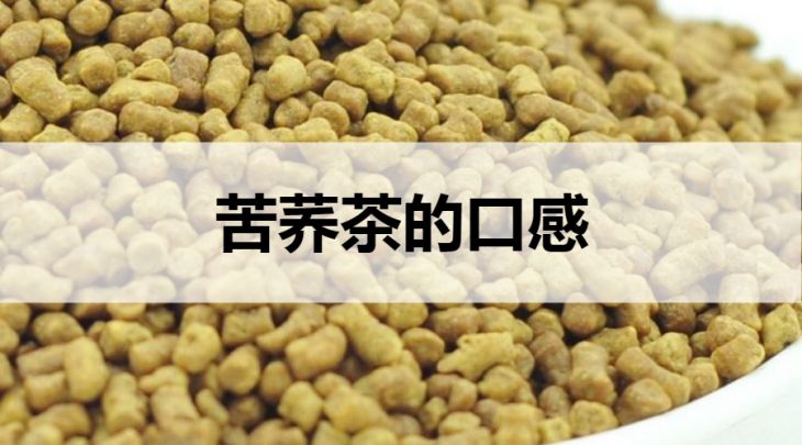 苦蕎茶的口感什么樣？