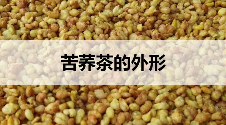 苦蕎茶的外形什么樣？