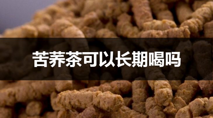 苦蕎茶可以長期喝嗎？