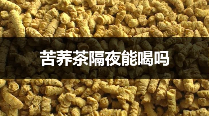 苦蕎茶隔夜能喝嗎？