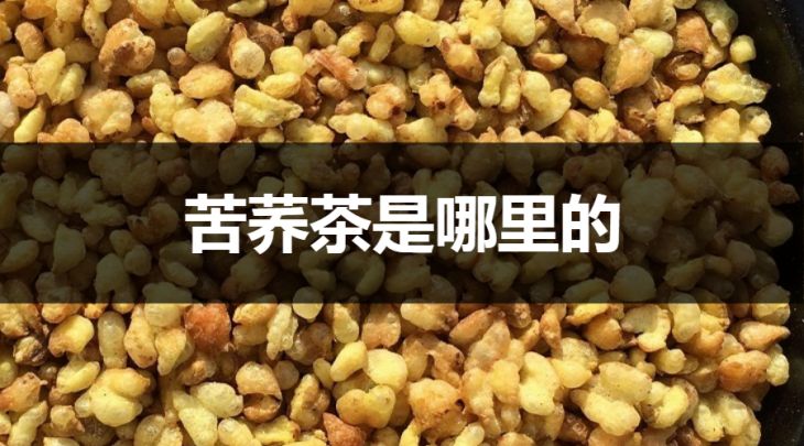 苦蕎茶是哪里的？