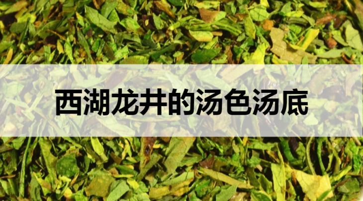 西湖龍井的湯色湯底什么樣？