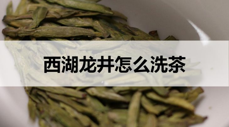 西湖龍井怎么洗茶？