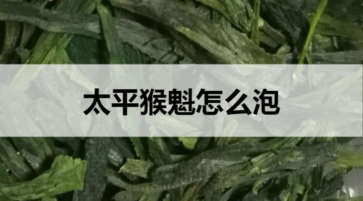 太平猴魁怎么泡？