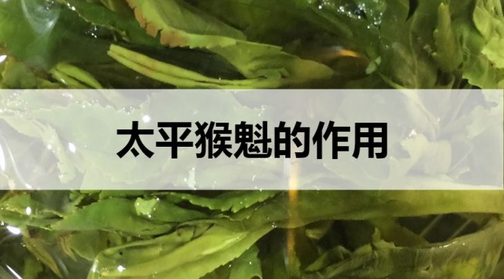 太平猴魁的作用有哪些？