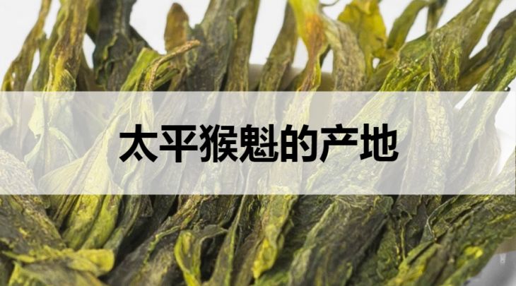 太平猴魁的產(chǎn)地在哪里？