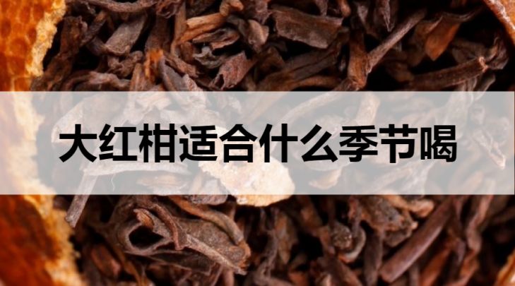 大紅柑普洱茶適合什么季節(jié)喝？