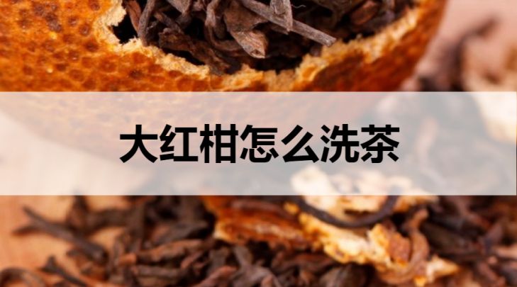 大紅柑普洱茶怎么洗茶？