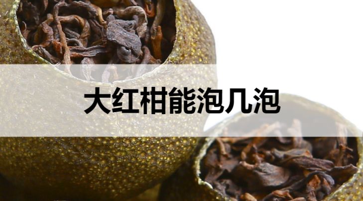 大紅柑普洱茶能泡幾泡？