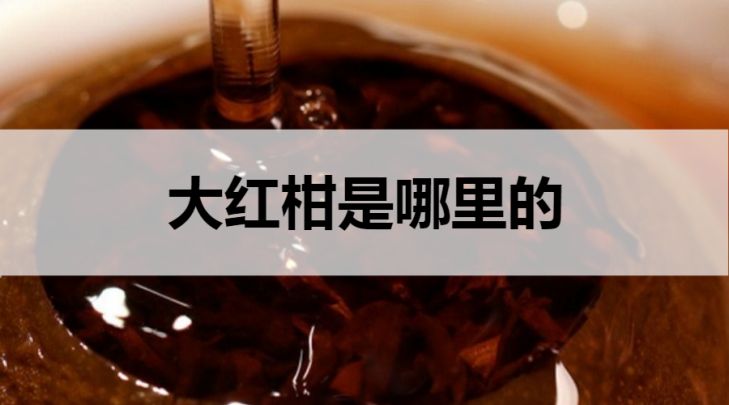 大紅柑普洱茶是哪里的？