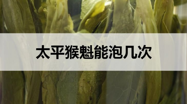 太平猴魁能沖泡幾次？