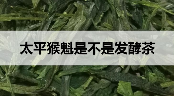 太平猴魁是不是發(fā)酵茶？