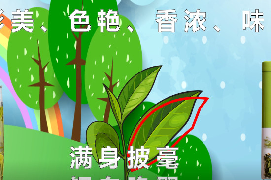 碧螺春產(chǎn)地（江蘇省蘇州）