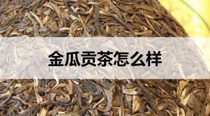 金瓜貢茶怎么樣？