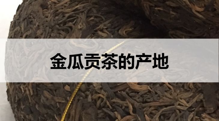 金瓜貢茶的產(chǎn)地在哪里？