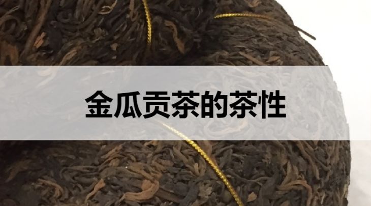 金瓜貢茶是溫性還是涼性的？