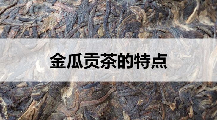 金瓜貢茶的特點(diǎn)有哪些？