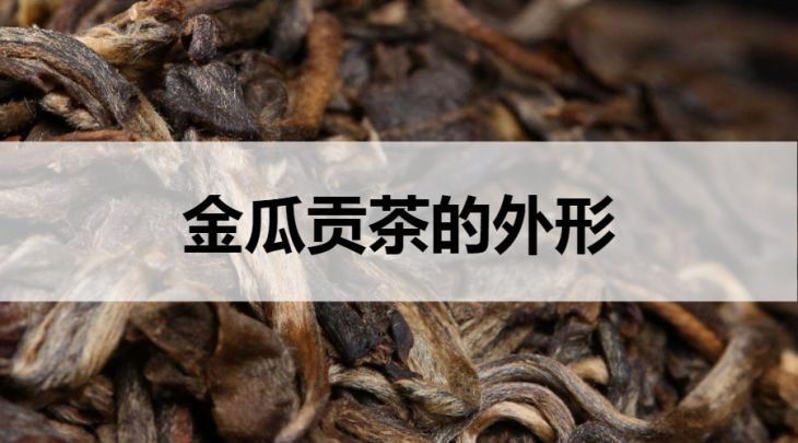 金瓜貢茶的外形什么樣？