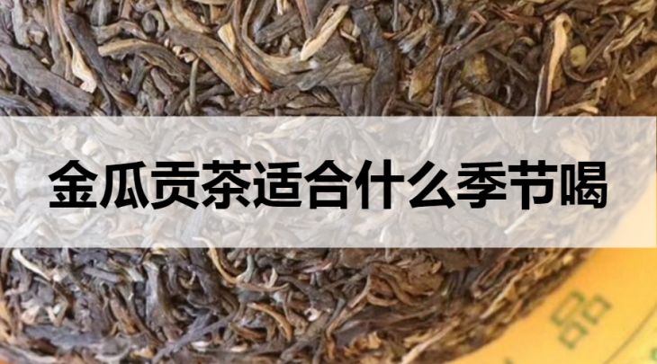 金瓜貢茶適合什么季節(jié)喝？