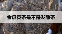 金瓜貢茶是不是發(fā)酵茶？