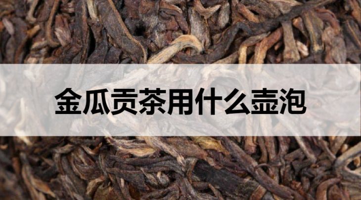 金瓜貢茶用什么壺泡？