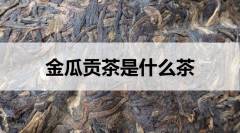 金瓜貢茶是什么茶？