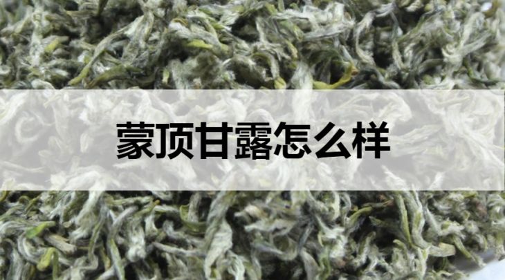 蒙頂甘露怎么樣？