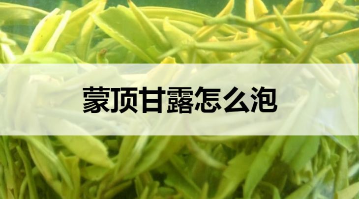 蒙頂甘露怎么泡？