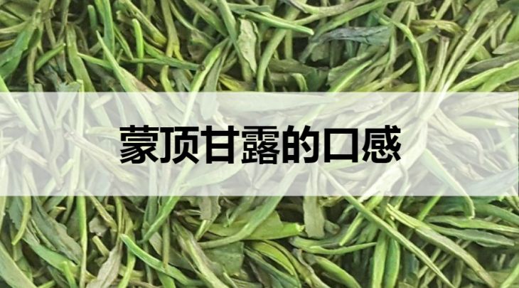 蒙頂甘露的口感怎么樣？