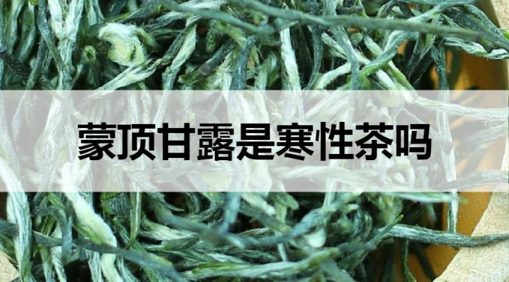 蒙頂甘露是寒性茶嗎？