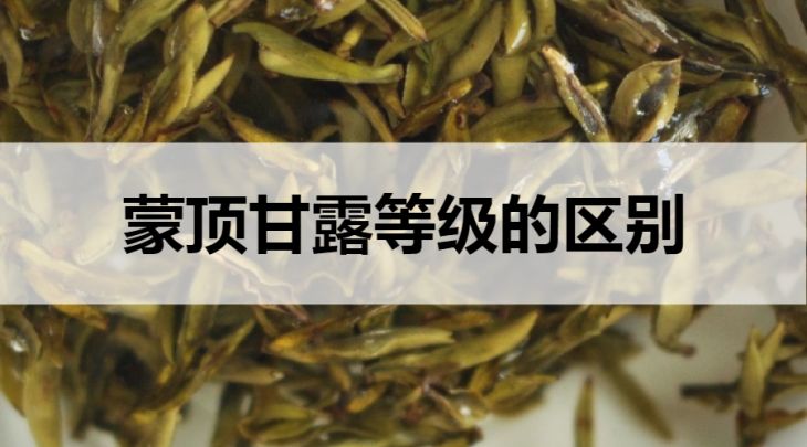 蒙頂甘露等級的區(qū)別