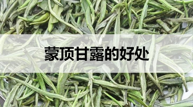 蒙頂甘露的好處有哪些？