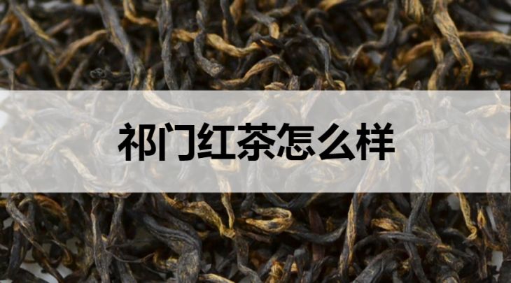 祁門紅茶怎么樣？