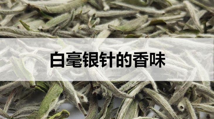 白毫銀針的香味怎么樣？