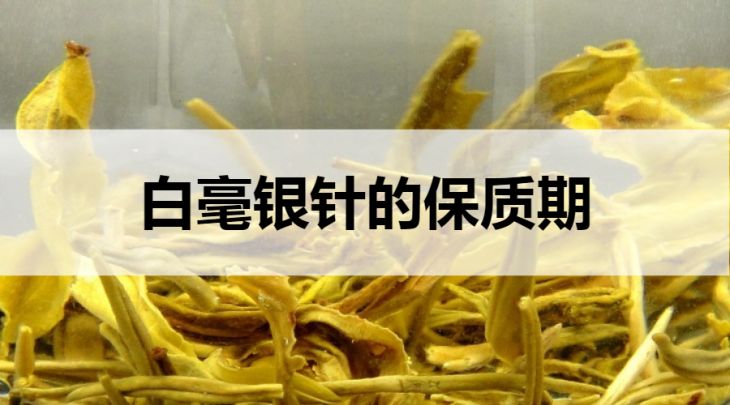 白毫銀針的保質(zhì)期是多久？（越久越好）