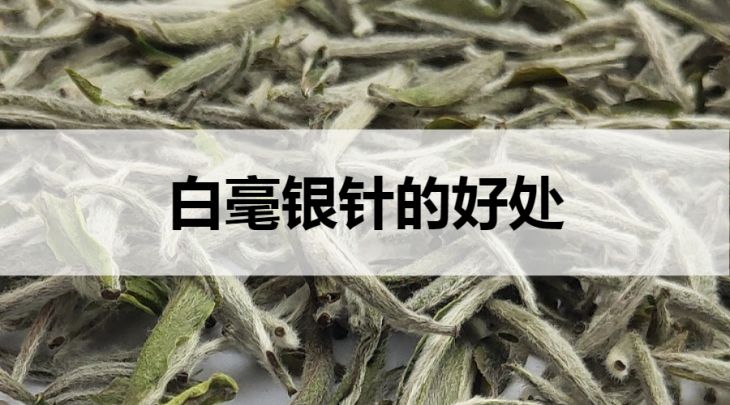 白毫銀針的好處有哪些？