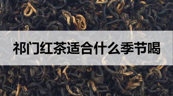 祁門紅茶適合什么季節(jié)飲用？