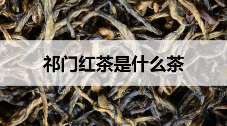 祁門紅茶是什么茶？