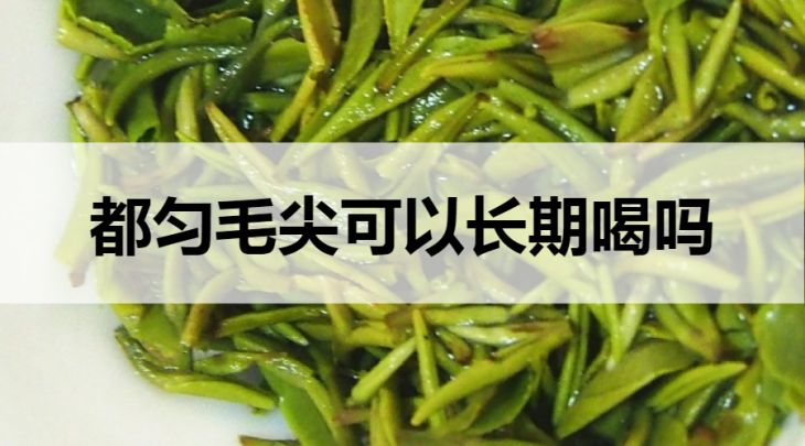 都勻毛尖可以長(zhǎng)期喝嗎？