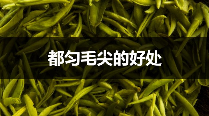 都勻毛尖的好處有哪些？