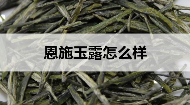 恩施玉露怎么樣？