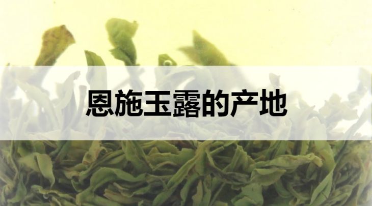 恩施玉露的產(chǎn)地在哪里？