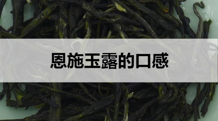 恩施玉露的口感怎么樣？