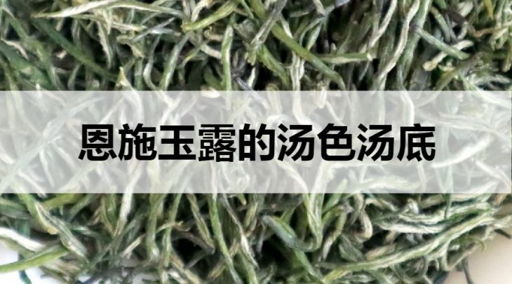 恩施玉露的湯色湯底什么樣？